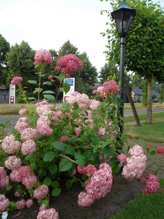 Hof Van Lutten Bed & Breakfast Luaran gambar